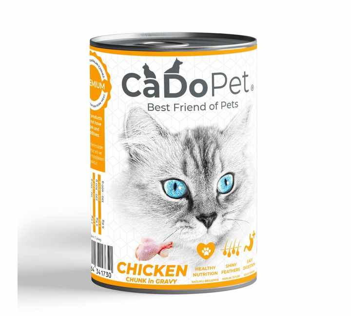 Wet Foods for Cat and Dog