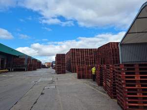 Nuevo stock Epal euro Palets de madera Venta al por mayor Nuevo Epal/ Euro Palets de madera/Palé europeo de madera 1200X800 listo para entrega rápida - Product Image 3