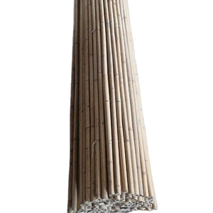 Wholesale Eco-friendly Natural Raw Bamboo <b>Poles</b> <b>for</b> Outdoor <b>Garden</b> Building & Agriculture Nature-Inspired Design - Product Image 1