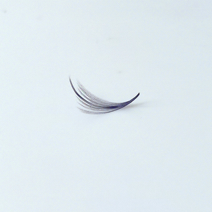 Meilleur prix ELFA Beauty Niche pour extensions de cils en fibre PBT coréenne faites à la main, effet doux et vaporeux/camélia, design unique, populaire et nouveau - Product Image 6