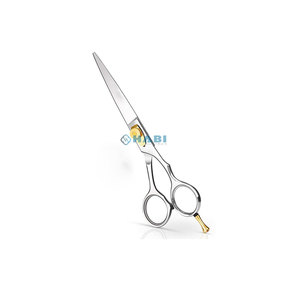 Ciseaux à cheveux professionnels en acier japonais 440C, lame de rasoir, acier inoxydable, ciseaux de salon de coiffure, outil de beauté - Product Image 1