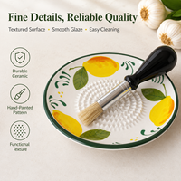 Râpe à citron, ail et gingembre en céramique de porcelaine artisanale pour la maison, avec un ensemble de brosses, mode d'utilisation manuel, vente en gros