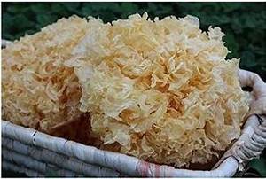 HONGO BLANCO SECO TIPO FLOR ENTERA SIN ADITIVOS ETIQUETA LIMPIA REFUERZO DE COLÁGENO PARA LA DEFENSA DE LA PIEL Y EL CUERPO - Product Image 3