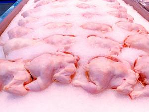 Venta Especial: Patas de Pollo Halal Congeladas, Grado Premium A, Envasadas al Vacío, 24 Meses de Caducidad, al Mejor Precio Competitivo - Product Image 3