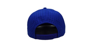 Casquette Snapback Structurée Personnalisée avec Logo Brodé en 3D, Fermeture à Sangle en Plastique Réglable, Vêtements de Sport de Haute Performance - Product Image 2