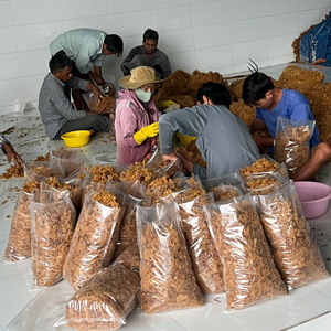 PRODUCTO SUPERIOR | SEAMOSS NATURAL DESSECADO PARA COCINAR - Product Image 3