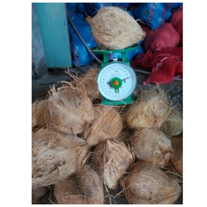 Noix de coco semi décortiquée à haute humidité offerte en vrac avec un délai d'exécution rapide pour les commandes internationales dans l'hôtellerie - Product Image 5