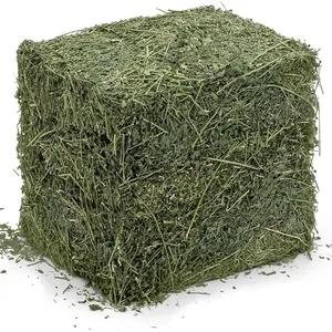 Hierba de heno de alfalfa de alta calidad para consumo animal/heno de alfalfa de calidad a granel para compradores mayoristas