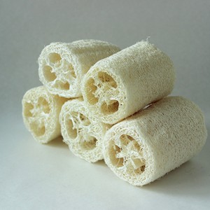 ใยบวบดิบจากเวียดนามผลิตภัณฑ์จากธรรมชาติ - Product Image 4
