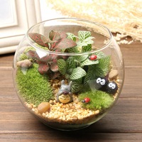 Terrarium en verre pour plantes avec base en bois, terrarium ventilé pour plantes de bureau, 12 cm, bricolage, aquarium rond en verre