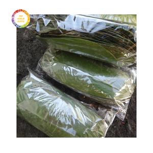 Feuilles de Graviola séchées abordables pour tous vos besoins - Qualité supérieure - Product Image 2