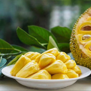 Chips de Jackfruit Seleccionados a Mano del Río Mekong, Colección Tropical de Alta Crocancia - Product Image 1