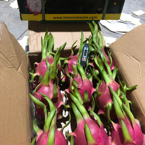 Premium verse Vietnamese drakenvrucht - wit-rood vlees 100% puur zoete smaak Kim Minh International natuurlijke houdbaarheid export