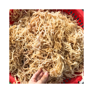 Algues séchées Eucheuma Cottonii de qualité supérieure du Vietnam récoltées et emballées de manière durable pour le marché d'exportation mondial - Product Image 6