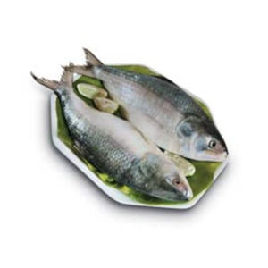 El mejor fabricante al por mayor de mariscos frescos, pescado Hilsa congelado, camarones congelados - Product Image 3