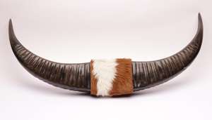 Tête de taureau avec cornes montées pour la décoration de magasin, tête de taureau avec cornes montées pour les intérieurs de restaurant, taureau rustique avec cornes naturelles - Product Image 2