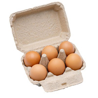 Œufs de table bruns frais de qualité supérieure, certifiés HALAL, en vrac, prix avantageux, Brésil