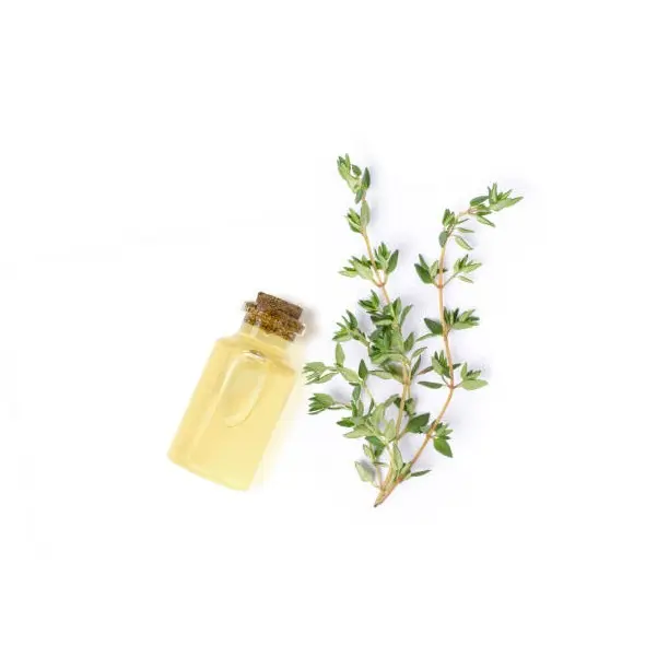 Wholesale Seller Thyme White Essential Oil with Customized Packing Available Pure Thyme White Oil For Sale
