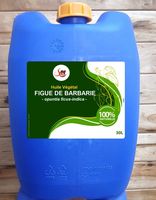 Huile végétale de pépins de figue de Barbarie pressée à froid 100% pure naturelle, ingrédient anti-âge pour les soins de la peau, bidon de 25 kg
