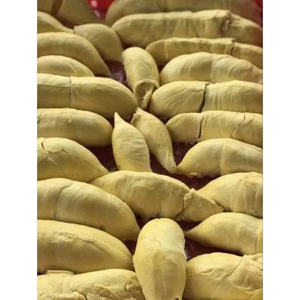 PREMIUM <b>FROZEN</b> DURIAN WHOLESALE BULK SUPPLY HOT DEAL TOP SALES NATURAL TROPICAL <b>FRUIT</b> EXPORT QUALITY PRODUCT - Product Image 4