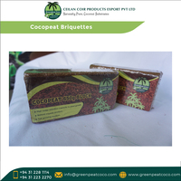 Taille personnalisée disponible serre horticulture 100% briquettes naturelles Cocopeat pour la plantation de fleurs, fruits et légumes