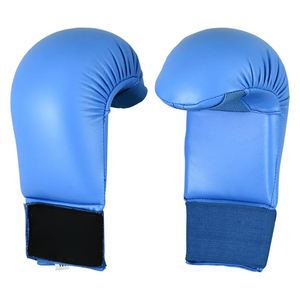 Gants d'entraînement de boxe avec Logo personnalisé, gants d'entraînement en cuir bleu pour Arts martiaux - Product Image 1