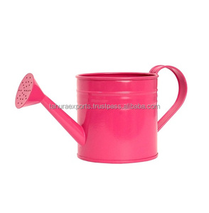 Hot Selling Metal Water Can Home and <b>Garden</b> Decorative Water <b>Cane</b> Most Popular Unique Design Affordable Price - Product Image 4