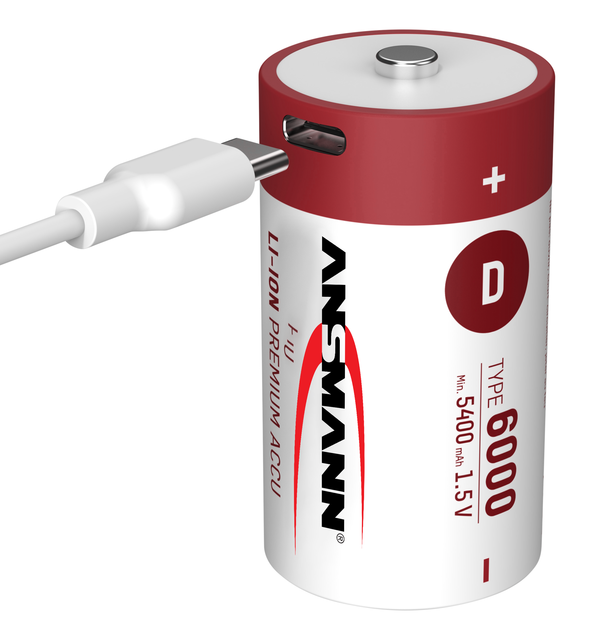 High Energy Density 6000mAh D-Size Type-C Lithium-Ion Battery Pack Low Self Discharge Rate at 1.5V