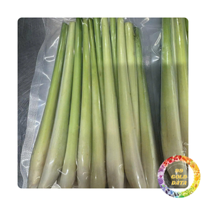 Lemongrass congelado al por mayor ideal para sazonar y cocinar | De Vietnam | Suministro a granel - Product Image 1