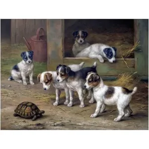 Turtle Puppies Farmyard Accent Mármol Cerámica Mural de pared Cocina Pared Backsplash Azulejo - Product Image 1