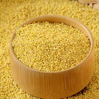 VENTE EN GROS DES GRAINS DE MILLET PUR PROPRE NUTRITIF DES CÉRÉALES DE QUALITÉ D'EXPORTATION EN VRAC