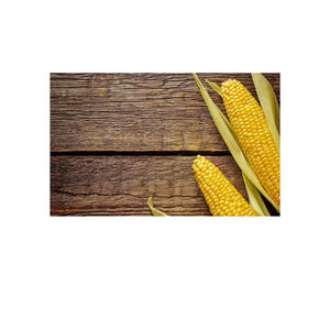 Maíz amarillo de alta calidad Origen de EE. UU. Almacenamiento de humedad de grado seco Certificado HACCP Vida útil de 2 años - Product Image 3