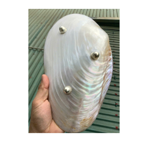 Venta al por mayor platos de concha de nácar hechos a mano plato de caviar para restaurantes y hoteles - Product Image 1