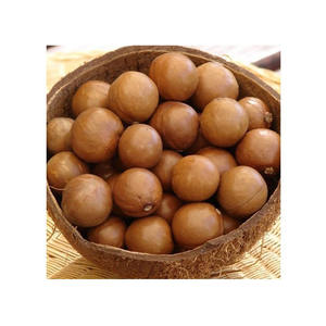 Noix de macadamia en gros, prix bas, qualité supérieure - Product Image 4