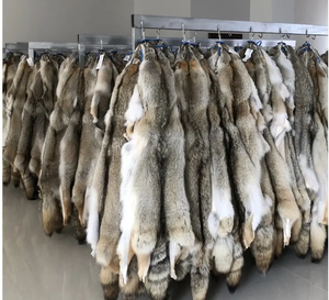 Peaux de vache kényanes de qualité supérieure 2025 pour l'exportation depuis Mombasa, qualité supérieure, grade 1, peaux séchées au soleil pour usage industriel - Product Image 4