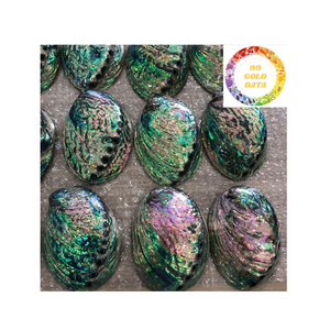 Bright Natural Abalone Shells for <b>Mosaic</b> Accessories Jewelry and Gift Decoration - Product Image 6