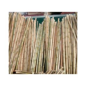 HOT SELLING Bamboo Pole Pristine Material For Commercial Display Projects And Sturdy Decorative Item For Indoor Balcony Decor - Product Image 5