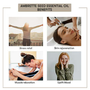 น้ำมันหอมระเหยจากเมล็ดอัมเบรตแท้ 100% ผสมทีทรี ช่วยเพิ่มความชุ่มชื้น ปรับผิวกระจ่างใส กระชับผิว บำรุงผิว ลดน้ำหนัก ชนิดน้ำ - Product Image 4