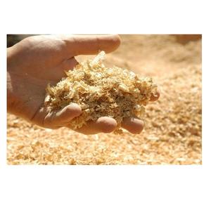Aserrín de Alta Calidad en Venta, Aserrín de Madera Natural Barato para Cama de Animales, Briquetas de Combustible y Uso Industrial - Product Image 2