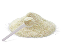 Poudre de lait écrémé séché de haute qualité 99% pour bébés et adultes, usage quotidien, sacs en vrac de 25 kg, France