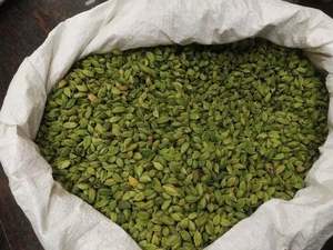 100% Cardamomo verde orgánico Proceso de secado crudo AD Proceso de secado - Product Image 2