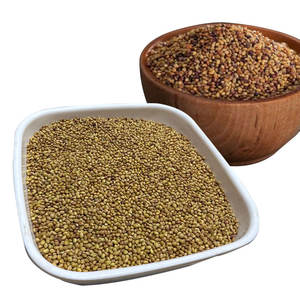 Berseem Clover | Cultivo listo para cultivar para ganado - Product Image 4