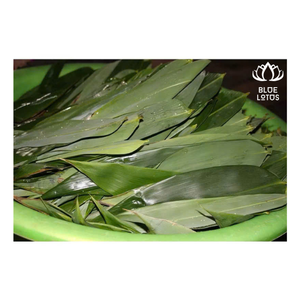 ขายร้อนไม้ไผ่แห้งใบเวียดนาม: รสแท้ราคาที่น่าตื่นตาตื่นใจ! -บัวสีน้ำเงินเวียดนาม - Product Image 1