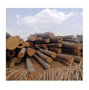 Se vende madera Meranti al mejor precio online - Product Image 5