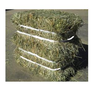 Foin de pâturage naturel pour l'alimentation des bovins et des chevaux essentiel pour une nutrition optimale - Product Image 1