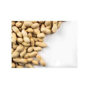 Cacahuetes de piel roja orgánicos de primera calidad al por mayor, cacahuetes secos crudos naturales de la mejor calidad, gran oferta con precio competitivo - Product Image 6