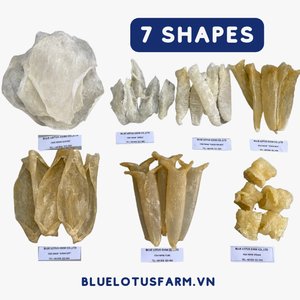 Mâchoire de poisson séchée de haute qualité du VIETNAM LOTUS bleu - Product Image 2