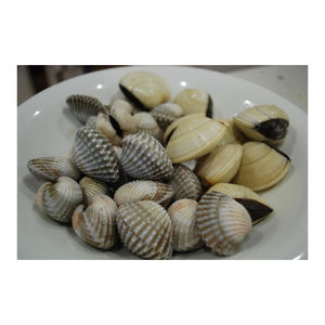 Fresh natural berechos suministro a granel al por mayor precio barato mariscos de primera calidad - Product Image 4