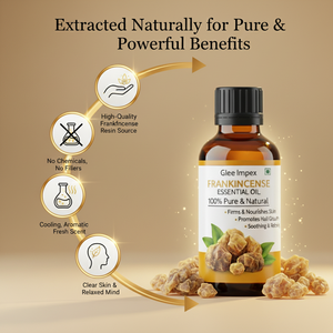 Huile Essentielle d'Encens Biologique Minérale et Végétale en Vrac de Glee Impex India, Distillée à la Vapeur, Végane, Boswellia Serrata - Product Image 3