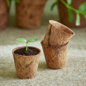 Pots plantés en fibre de coco écologique de qualité supérieure pour prospérer disponibles dans un beau style lotus bleu - Product Image 4